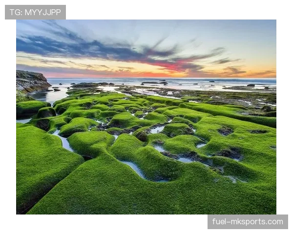 北京国安携手绿色海洋 共倡环保与可持续发展 彰显企业社会责任